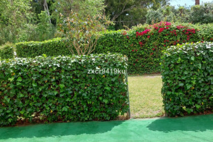 23824d32caf8a4f8eacaad9f0a97c78f - 19