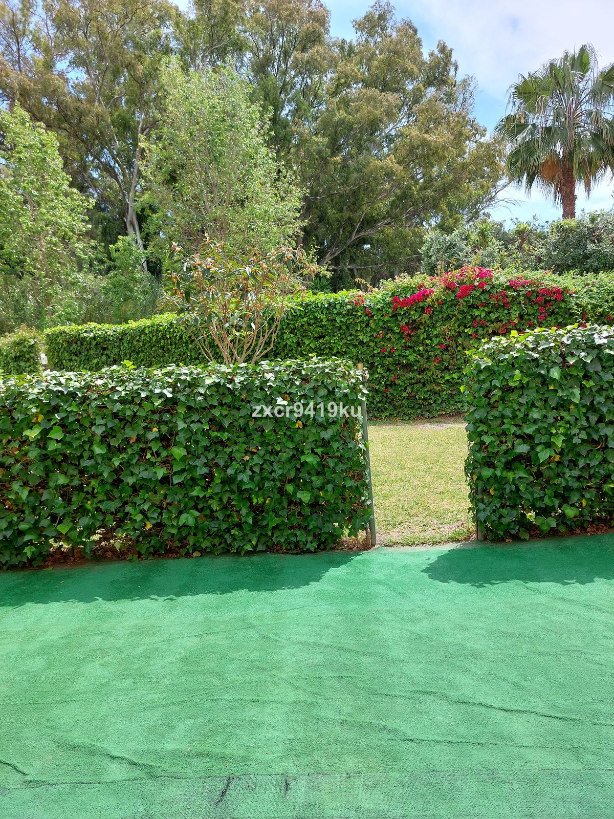 23824d32caf8a4f8eacaad9f0a97c78f - 19