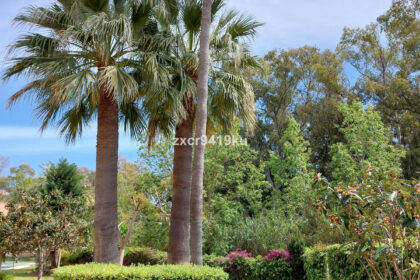 23824d32caf8a4f8eacaad9f0a97c78f - 20