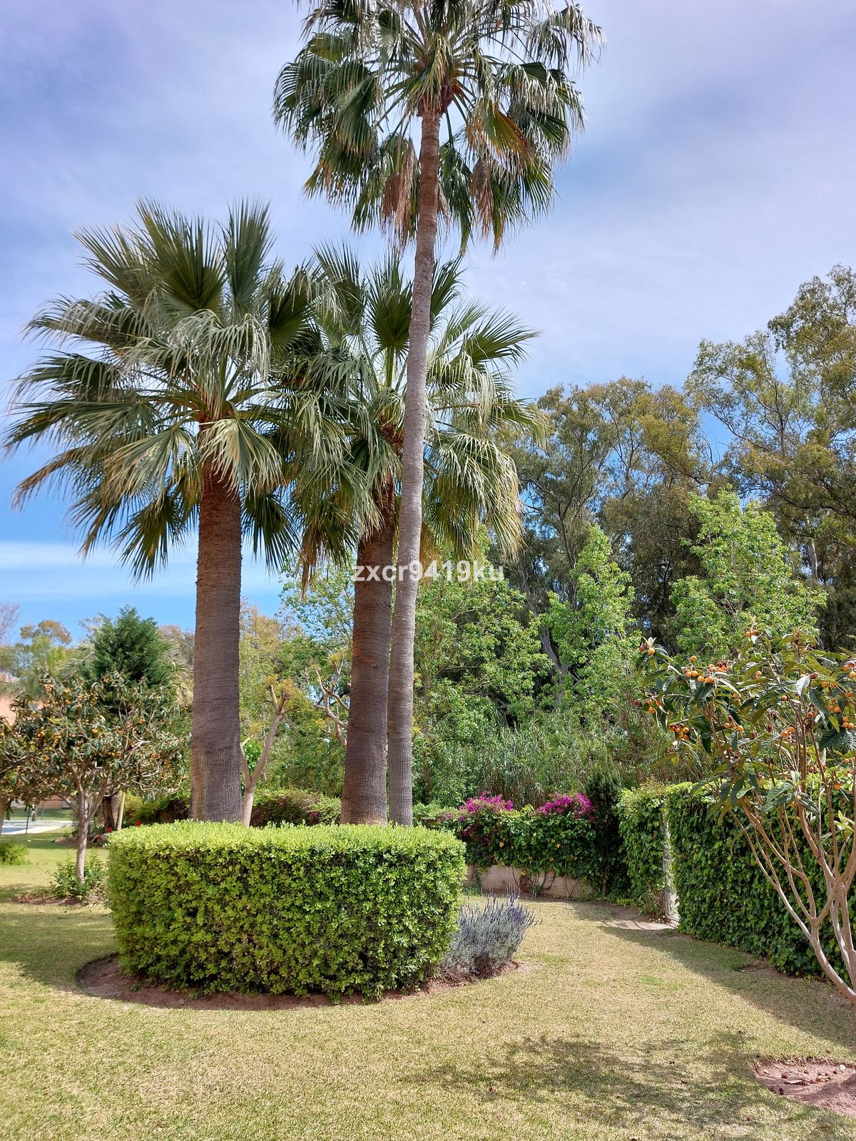 23824d32caf8a4f8eacaad9f0a97c78f - 20