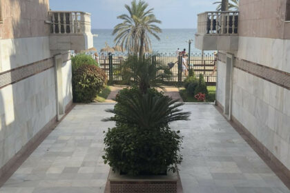 24c195dcd1978779b114cc26ce41f825 - 21