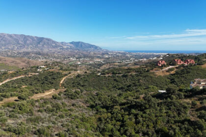 25cb36be3d406a555de7d356c364addd - 23