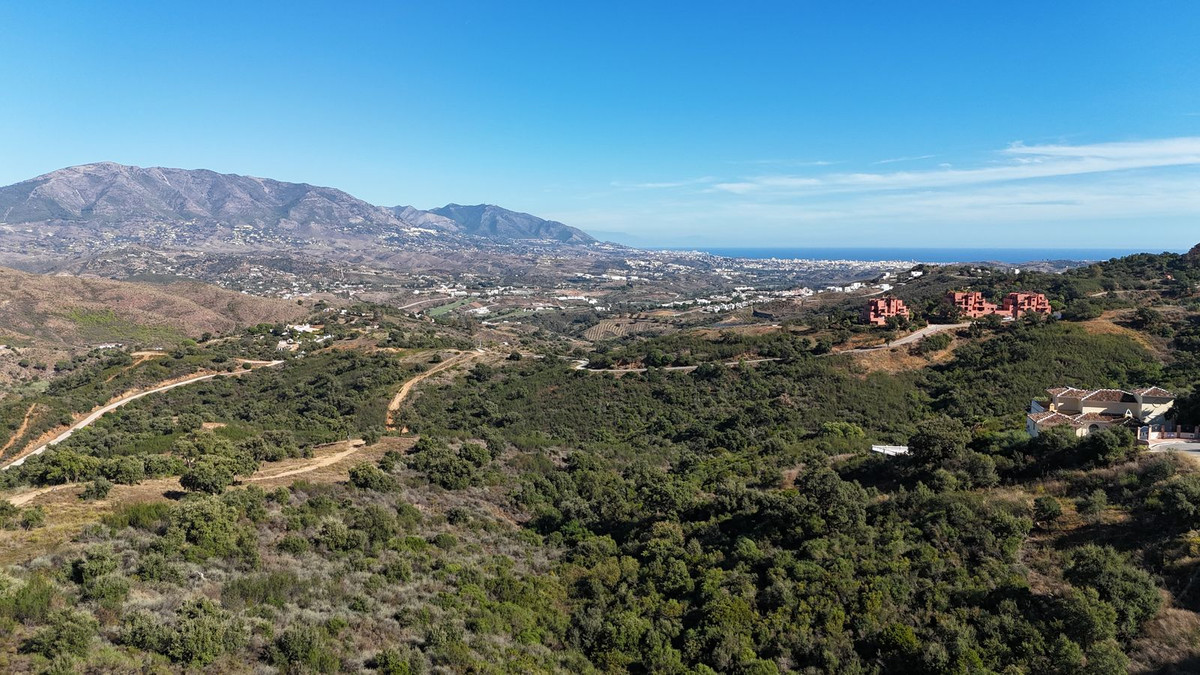 25cb36be3d406a555de7d356c364addd - 23