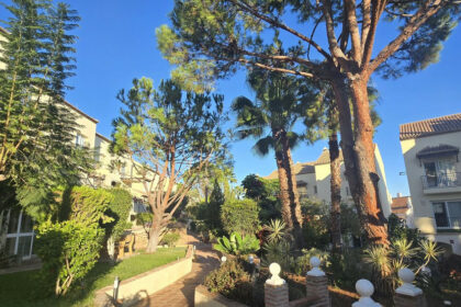 2608d46e06b80962989e55b49ebc17aa - 7