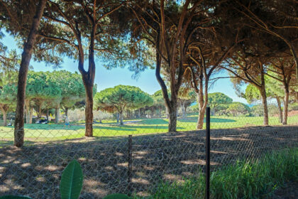 27e68bde467f1d648602c657ab295e33 - 19