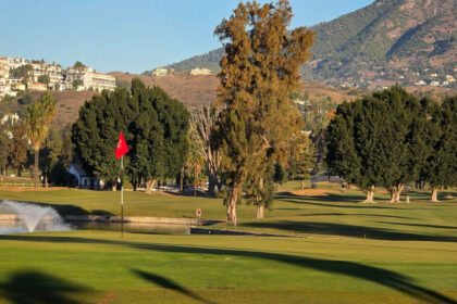 293dfb160fe311569bf901930e65790f - 28