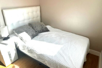 294f9a883c31f05bfa9ddc75c9a68af5 - 12