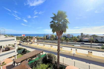 2a10d1a7e8e3e8ea899583d8c1a78874 - 29