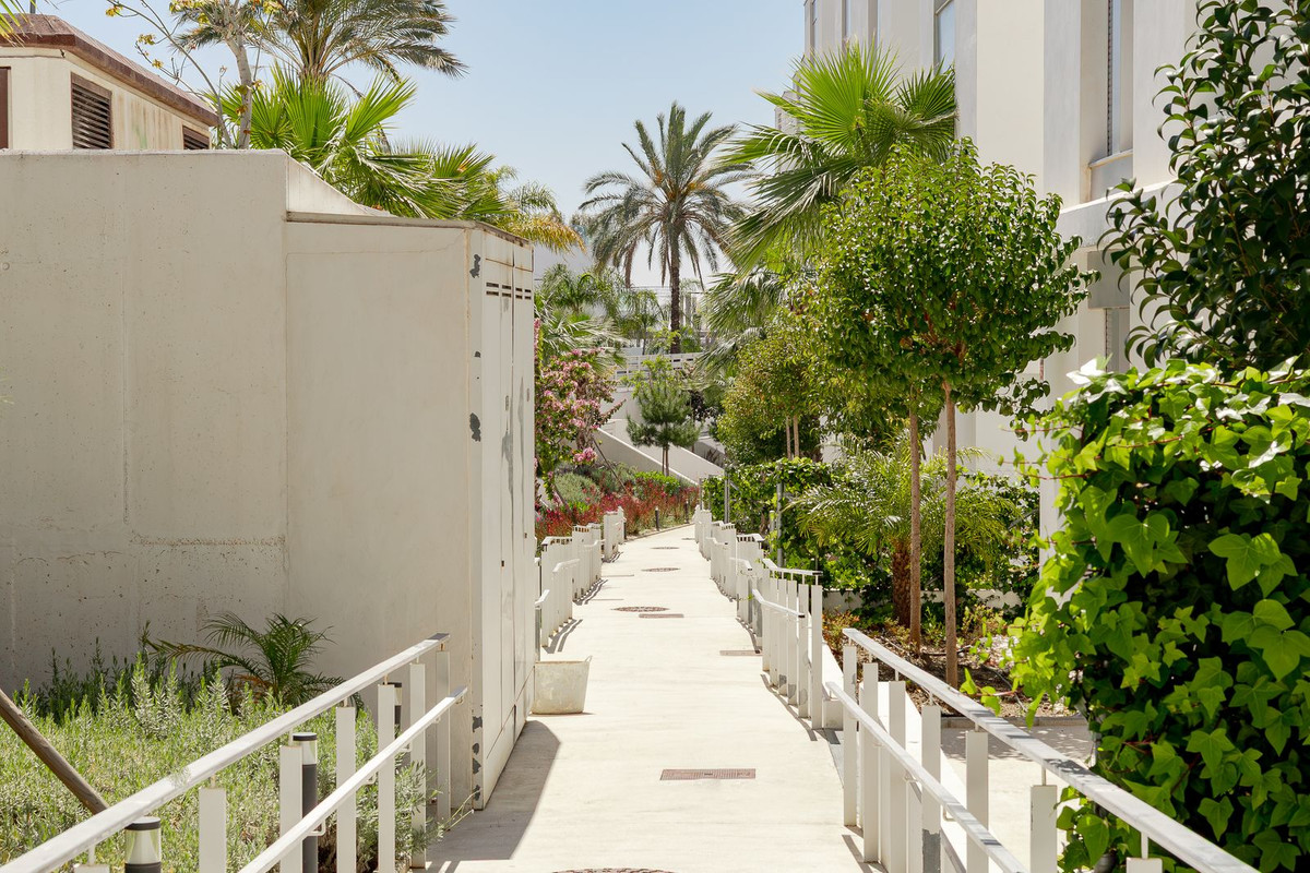 2a1d9b3bc82d0d8ceb7492a5e8b253ce - 20