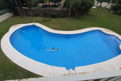 2e1f5b306c5d4e343ec7bb17142841b5 - 26