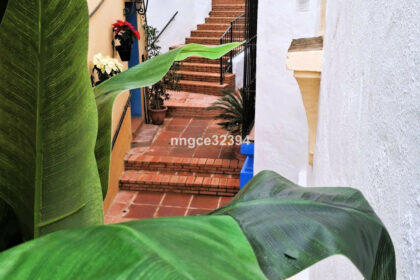 302676d131cbf5e99fbf186d89b78910 - 37