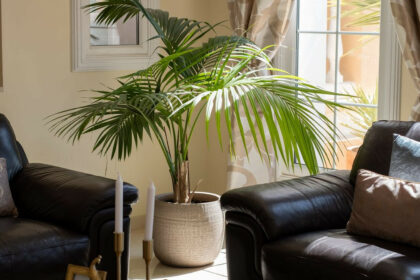 305aa6e16d856d682c90bcf771bdd804 - 46