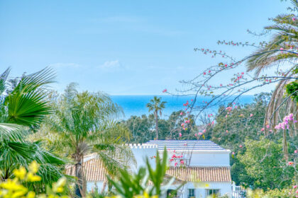 311b9494234806db4361113376aca781 - 1