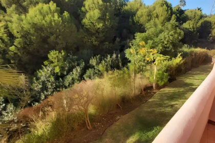 317cbd4c8e5bbb5a3437d7007ec51daf - 18