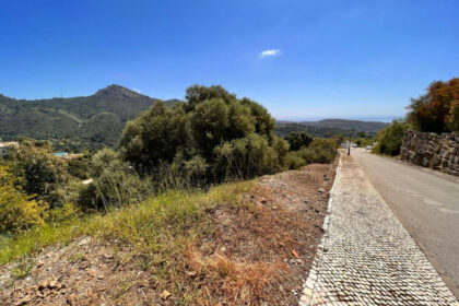 32e8942bd8f2976c64df9655530b4aad - 3