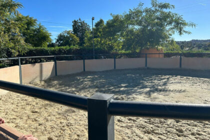 3805a3daffe76765d8c9f8d63acdcad6 - 1