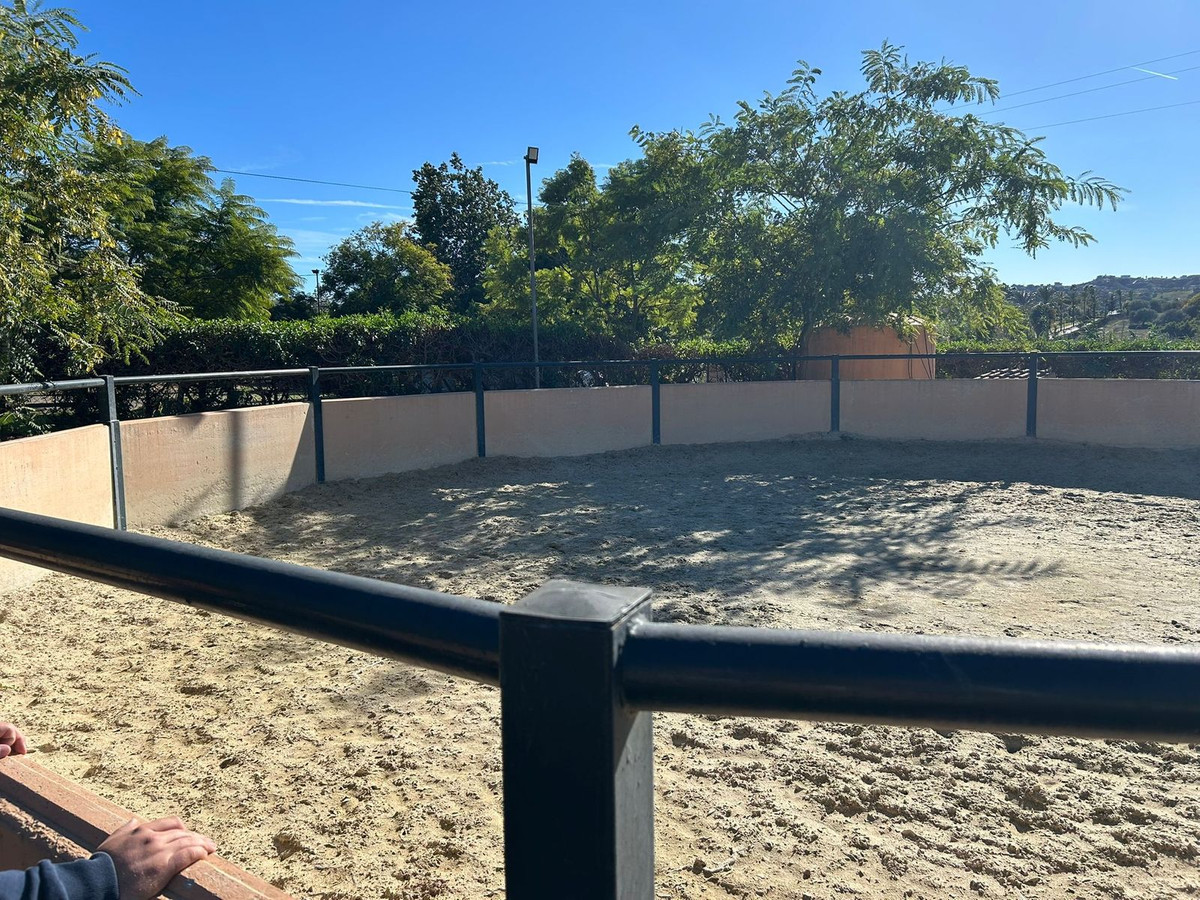 3805a3daffe76765d8c9f8d63acdcad6 - 1