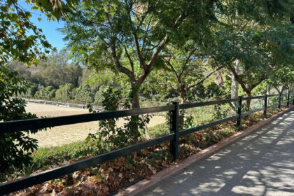 3805a3daffe76765d8c9f8d63acdcad6 - 10