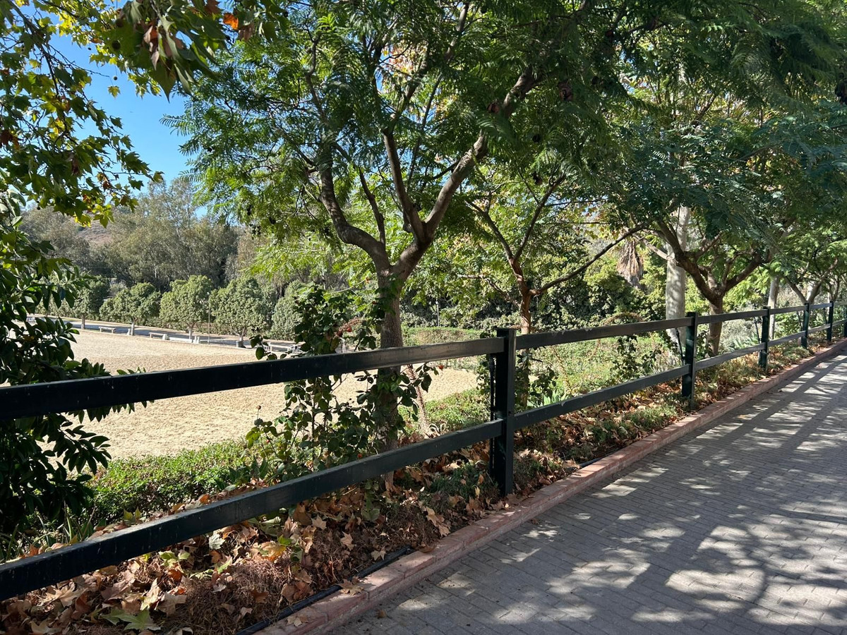 3805a3daffe76765d8c9f8d63acdcad6 - 10