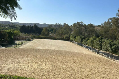 3805a3daffe76765d8c9f8d63acdcad6 - 11