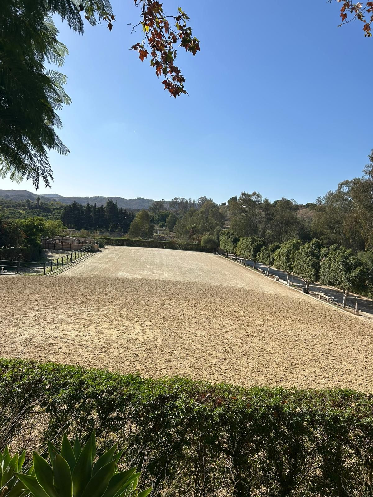 3805a3daffe76765d8c9f8d63acdcad6 - 11