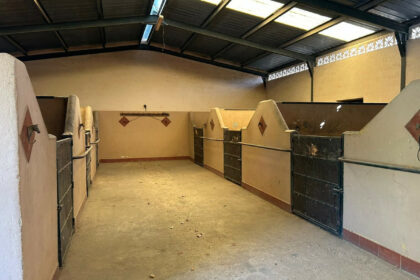 3805a3daffe76765d8c9f8d63acdcad6 - 13