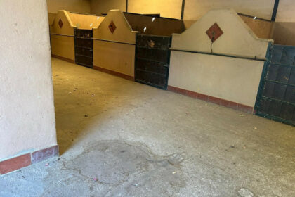 3805a3daffe76765d8c9f8d63acdcad6 - 14