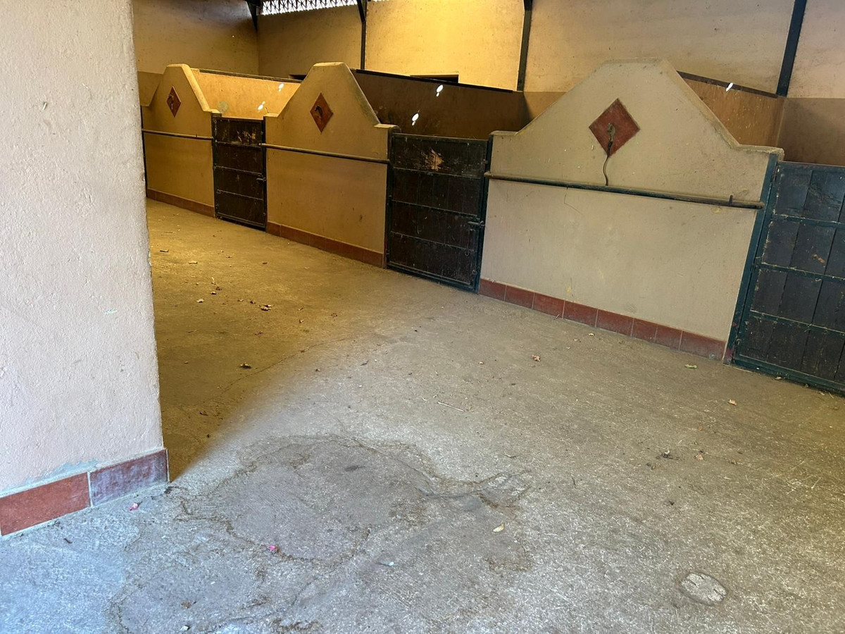 3805a3daffe76765d8c9f8d63acdcad6 - 14