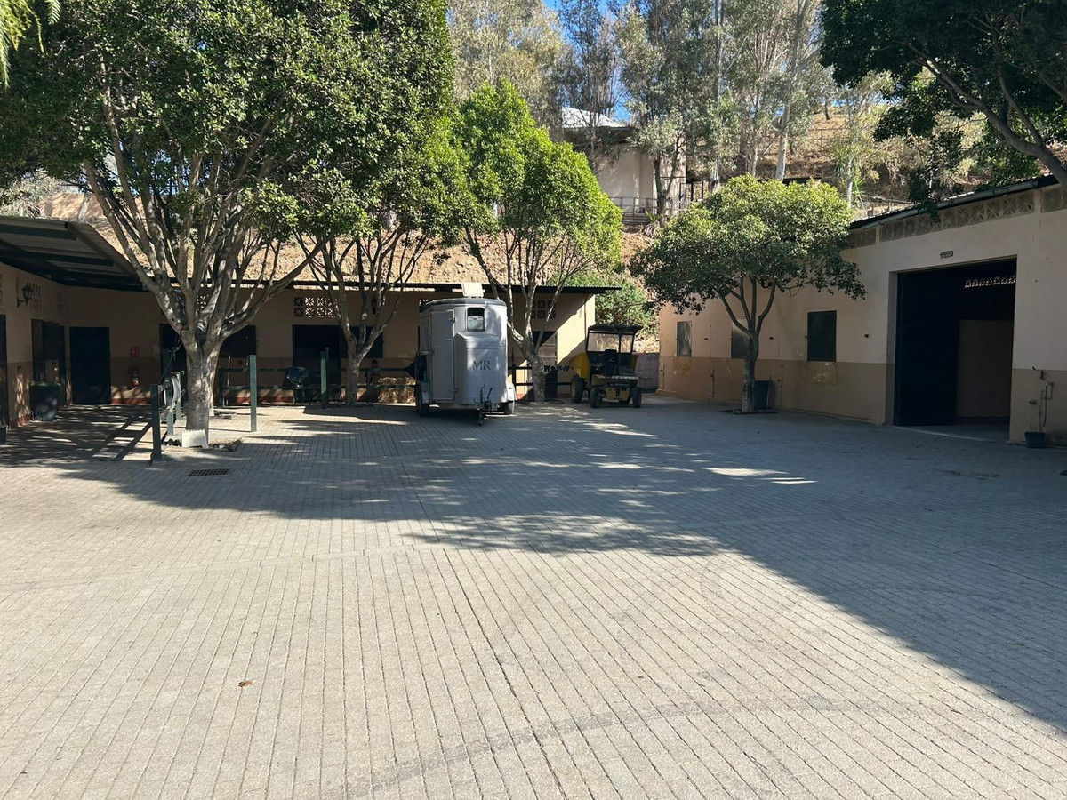 3805a3daffe76765d8c9f8d63acdcad6 - 15