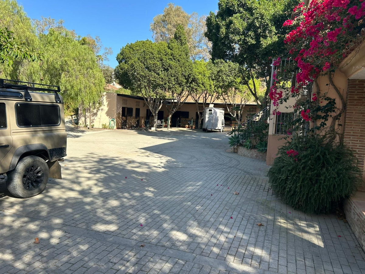 3805a3daffe76765d8c9f8d63acdcad6 - 2