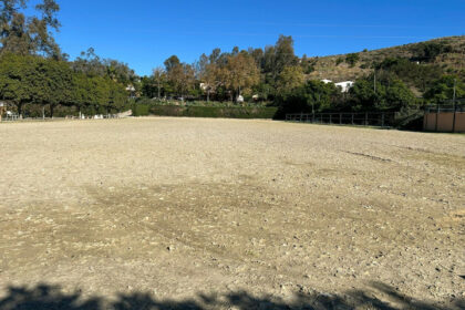 3805a3daffe76765d8c9f8d63acdcad6 - 20