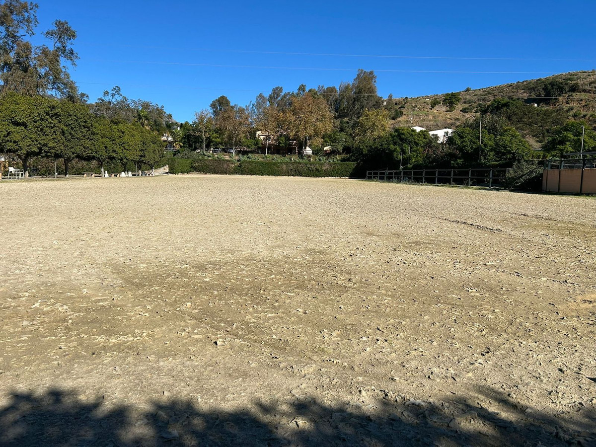 3805a3daffe76765d8c9f8d63acdcad6 - 20