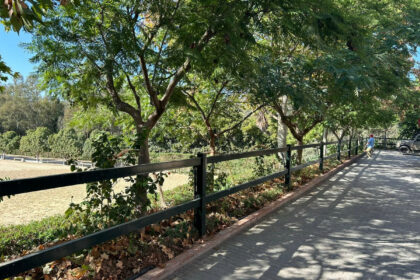 3805a3daffe76765d8c9f8d63acdcad6 - 3