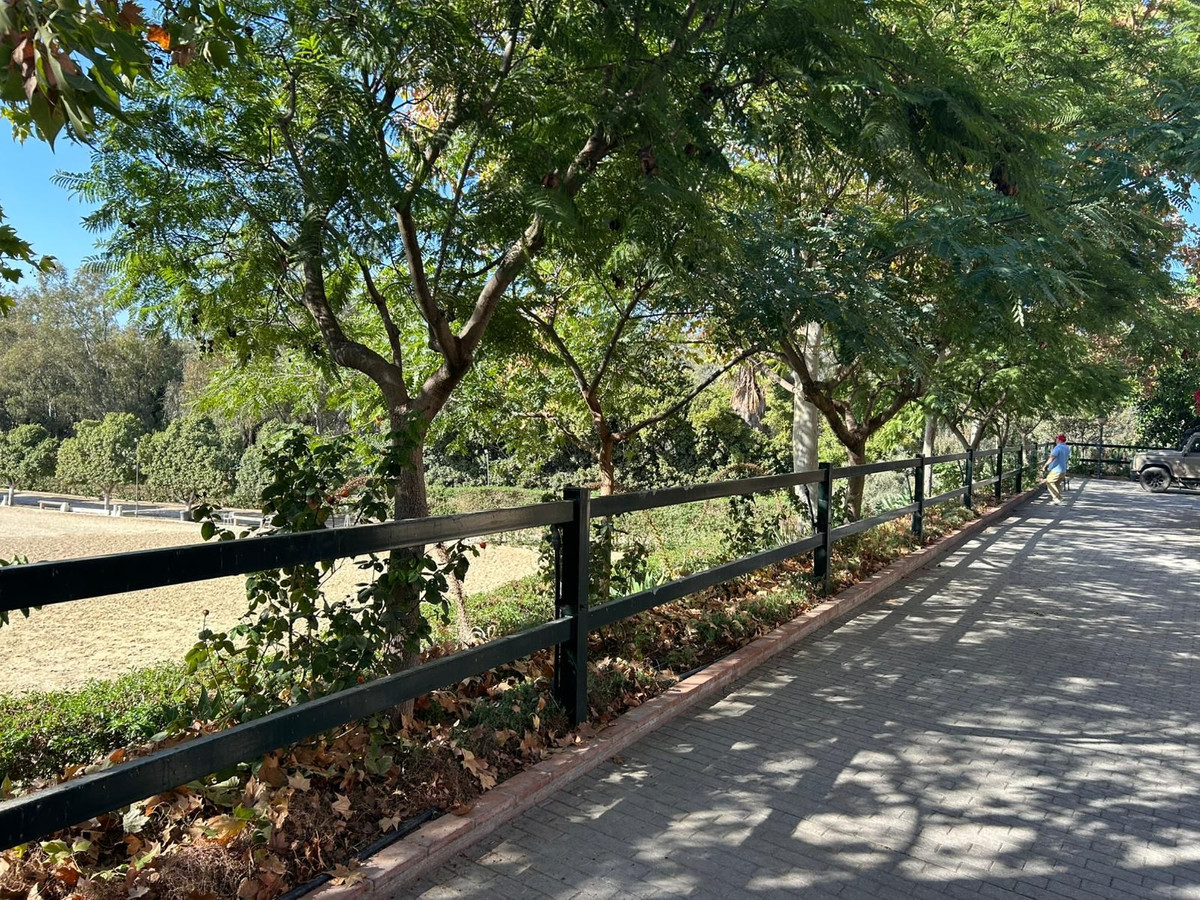 3805a3daffe76765d8c9f8d63acdcad6 - 3