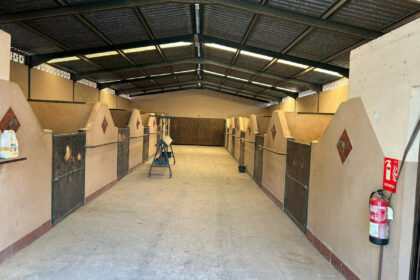 3805a3daffe76765d8c9f8d63acdcad6 - 6