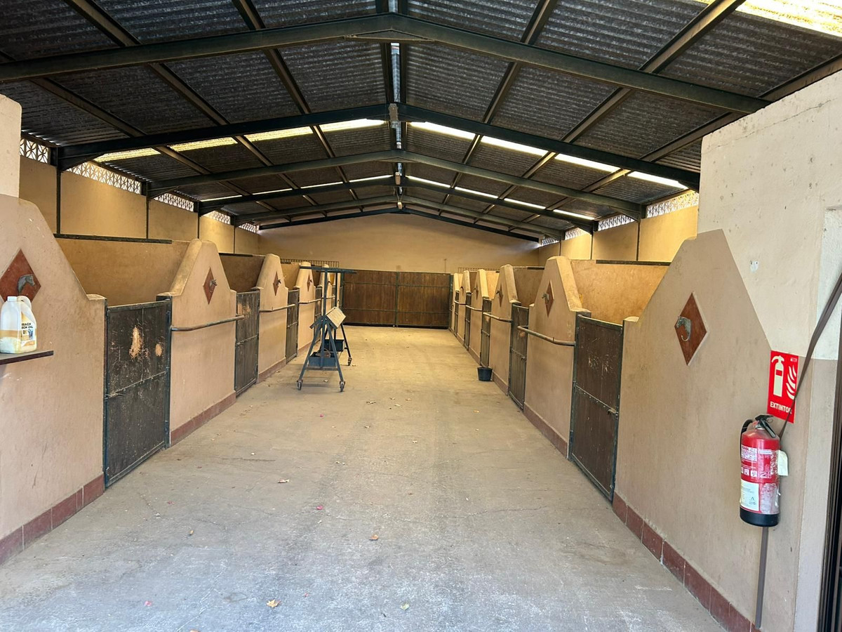 3805a3daffe76765d8c9f8d63acdcad6 - 6