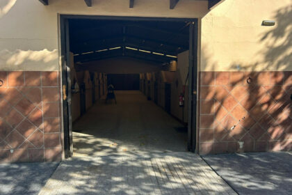 3805a3daffe76765d8c9f8d63acdcad6 - 8