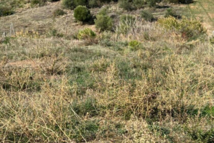 392162d83f1549128c96fcf8d7626e59 - 6