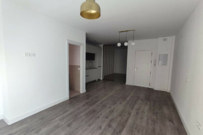 39ef6b162a62bccab7bb689d4fa4bff3 - 12