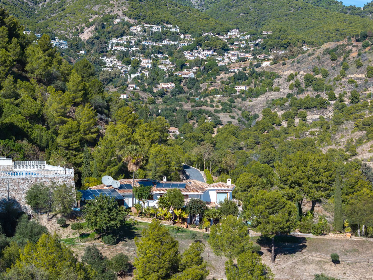 3ab118596b8bece4be24d2f7d249b7cf - 35