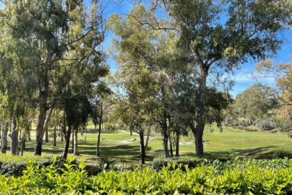 3bbafc7e2c4af7cd4debf327985bfdba - 11