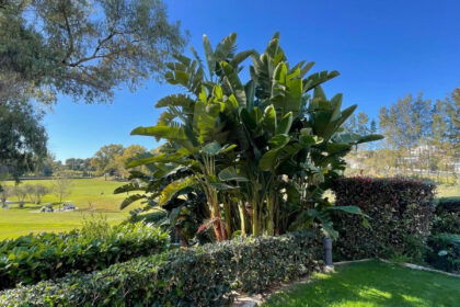 3bbafc7e2c4af7cd4debf327985bfdba - 25