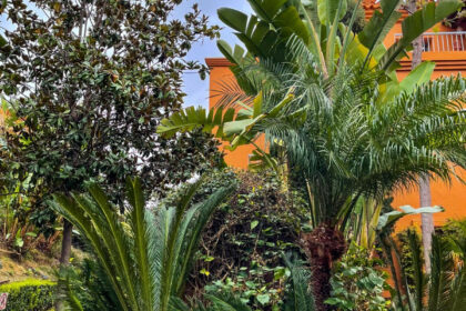 3bbafc7e2c4af7cd4debf327985bfdba - 27