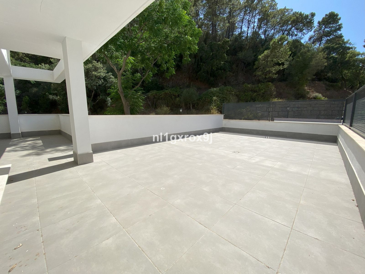 3cebe26fb19a6f3bd570a814f79f71db - 4