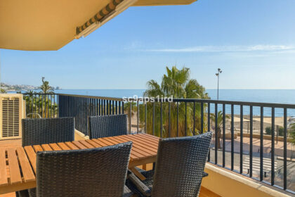 40dd680dd60956216139a3878d31c611 - 12