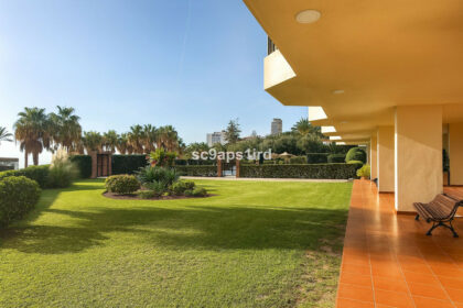 40dd680dd60956216139a3878d31c611 - 28