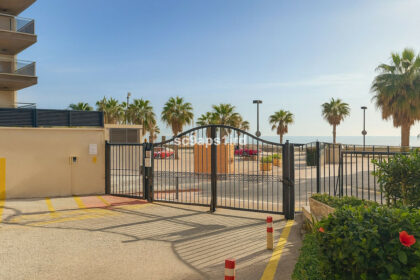 40dd680dd60956216139a3878d31c611 - 31