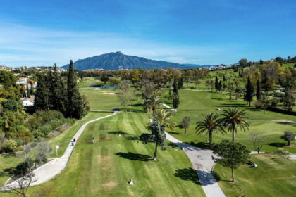 41a405e9fd6274be4cbfbf15272273bc - 21