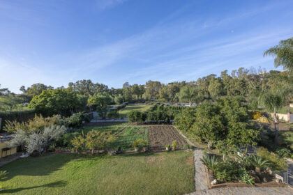 431ed67deb1cb7e22bae8f34d840f626 - 17