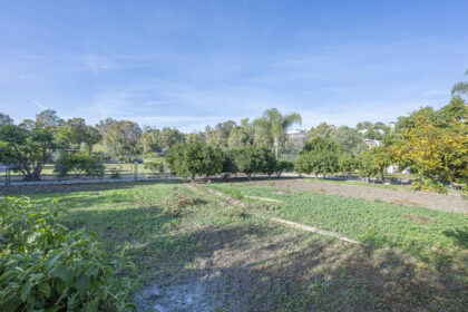 431ed67deb1cb7e22bae8f34d840f626 - 51